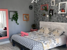 Maison à vendre avec chambres d'hôtes et activité rentable en place (17)