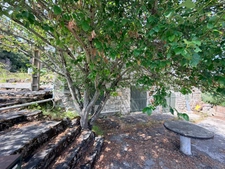 Maison ARDÈCHE – Au cœur des montagnes ardéchoises, maison de caractère de 191 m² dans un écrin de nature - 5 chambres – Garage & combles
