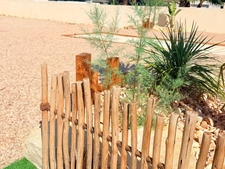 🏡 MARSEILLAN – VILLA CONTEMPORAINE NEUVE de 2026 - 4 CHAMBRES, PISCINE & TERRAIN DE PETANQUE - PARCELLE 996 M² 