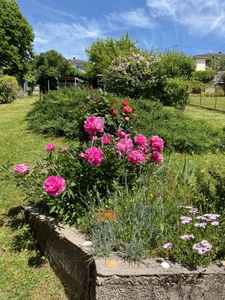 Pépite sur Tulle maison 2 appartements, terrasses + jardin