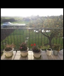 Maison à vendre 7 pièces LOUZE (52)