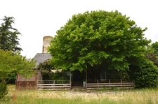 A vendre  belle Batisse a valoriser 7 pièces  Loire Layon Aubance (49)