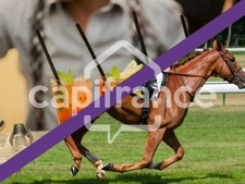 Dpt Maine et Loire (49), exclusivité Vente Bar PMU FDJ LOTO 