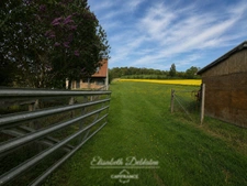 Terrain à vendre de 1 468,00 m² LARBROYE (60)