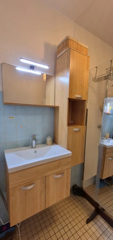 Appartement à vendre 3 pièces VILLEURBANNE (69)