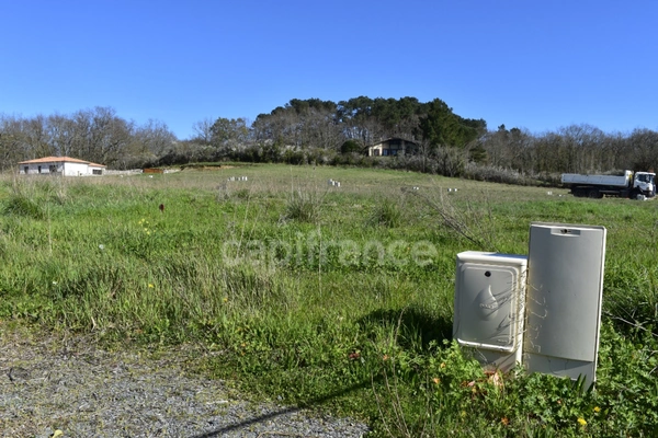 RARE Terrain de 1000 m² CURSAN (CREON)