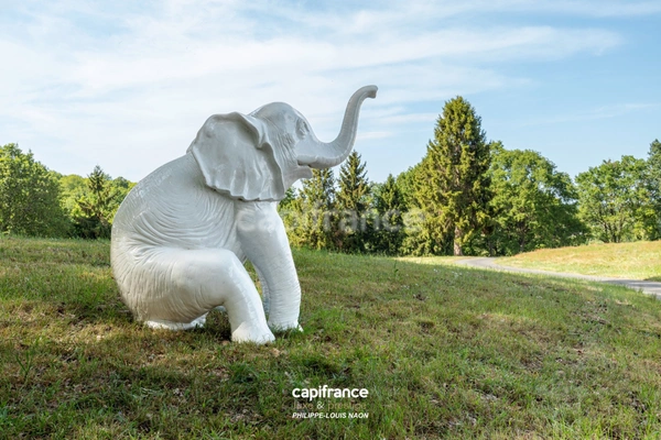 TRÈS RARE A LA VENTE EN EXCLUSIVITÉ CHEZ CAPIFRANCE