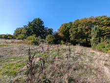 Maison de plain-pied 105 m² – terrain de 5 hectares  – Campagne et sans vis-à-vis