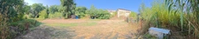 Maison landaise de 1778 avec appartement, piscine, hangar sur 1 Ha 802m² terrain