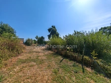 Maison landaise de 1778 avec appartement, piscine, hangar sur 1 Ha 802m² terrain