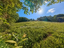 Terrain constructible de 1 650,00 m² situé à EAUZE (32)