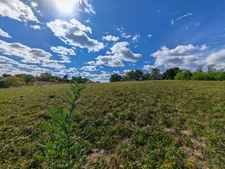 Terrain à bâtir de 1 791,00 m² à BRETAGNE D'ARMAGNAC (32)