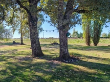 EN EXCLUSIVITÉ – MAISON DE PLAIN-PIED AVEC TERRASSE ET GRAND TERRAIN ARBORÉ