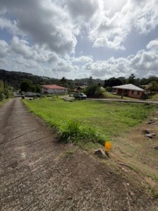 Terrain à vendre  DUCOS (972)