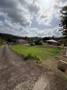 Terrain à vendre  DUCOS (972)