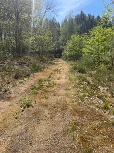 Terrain de loisir MEZERAY (72)