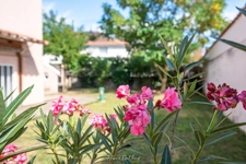 Maison à vendre 6 pièces Bron (69)