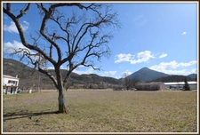  CASTELLANE terrain plat à bâtir avec permis valide pour villa et hangar  Vidéo disponible