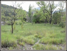 Bastide provençale à quelques pas du lac de Castillon et proche de Castellane. 