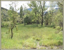 Bastide provençale à quelques pas du lac de Castillon et proche de Castellane. 