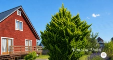 Maison à vendre 4 pièces DINARD (35) - Maison familiale 121 m² – Jardin 616 m² – Potentiel d'évolution