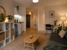 appartement à vendre 1 pièces STRASBOURG (67000)