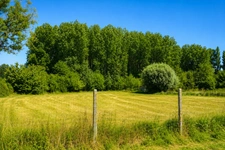 Terrain à vendre de 3 069,00 m² ROQUETOIRE (62)