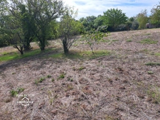Terrain à vendre  CELLES SUR BELLE (79)