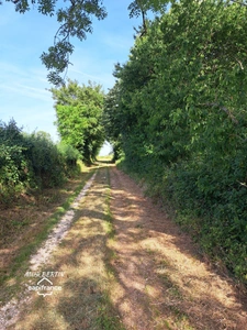 Maison à vendre 6 pièces AIGONNAY (79)