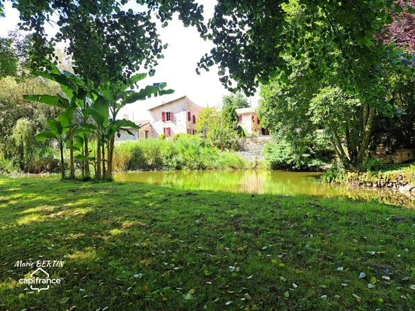Propriété à vendre 11 pièces CELLES SUR BELLE (79)