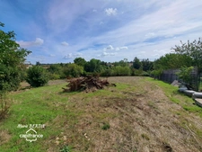 Terrain à vendre  CELLES SUR BELLE (79)