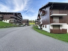  Appartement mansardé rénové à 50 m du télésiège - BELLEVAUX HIRMENTAZ (74) 