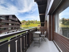  Appartement mansardé rénové à 50 m du télésiège - BELLEVAUX HIRMENTAZ (74) 