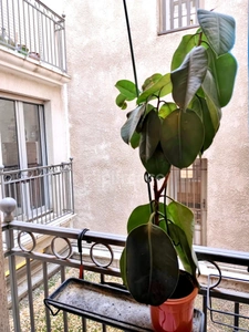 Appartement à vendre 4 pièces - Centre Historique - MONTPELLIER (34)