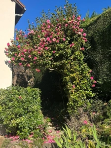 Maison à vendre 5 pièces  (87)