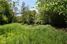 Hunting or leisure property of 40 hectares in Sologne