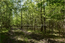 Territoire de Chasse de 171 hectares en Sologne