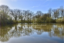 Hunting or leisure property of 39 hectares 