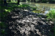 Hunting or leisure property of 40 hectares in Sologne