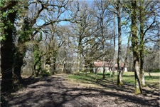 60-hectare hunting or leisure estate in Sologne