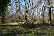 60-hectare hunting or leisure estate in Sologne