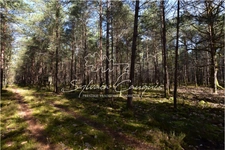 60-hectare hunting or leisure estate in Sologne
