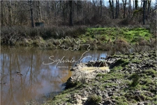 60-hectare hunting or leisure estate in Sologne