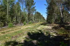 171-hectare hunting territory in Sologne