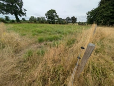 Maison en pierre à rénover : 8 457 m² de terrain et grand bâtiment d'exploitation – Le Teilleul