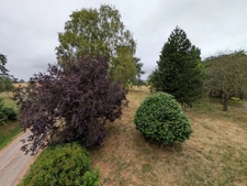 Maison en pierre à rénover : 8 457 m² de terrain et grand bâtiment d'exploitation – Le Teilleul