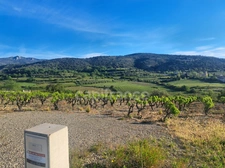 Terrain 2262 m² à MONTPEYROUX (34) emplacement unique