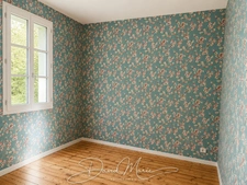 Maison à vendre 5 pièces  (27)