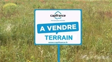 A vendre Superbe Parcelle batissable non viabilisé divisible de 8420m2 en Haute Marne