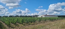 Wine estate in the heart of the prestigious Médoc Crus